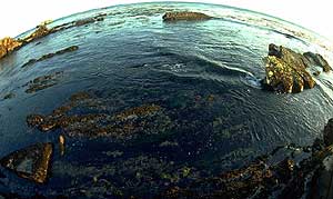 Image of coral reef and islands above sea level.