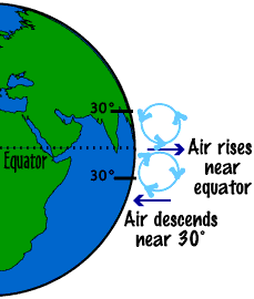 Image of the Earth which shows the Hadley cell.  Please have someone assist you with this.