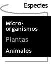 Imagen que dice Plantas.