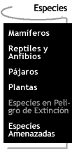 Botn que te lleva a la pgina de Especies.