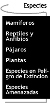 Botn que te lleva a la pgina de Especies.