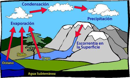 Imagen que muestra el ciclo del agua.  Por favor busca a alguien que te asista con esto.