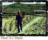 Image of a Korean farmer is heading off to work with hand tools and a basket for carrying produce.