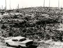 Image of a car driving down a road next to what used to be a forest.