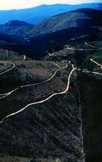 Image showing forest management on private lands near Interstate-90, about 50 miles north of Mount Rainier.  This image links to a more detailed image.