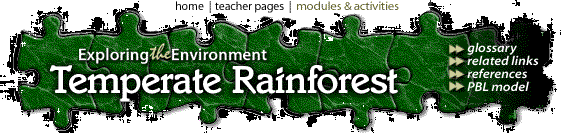 Image map of some Temperate Rainforest puzzle pieces.  Please have someone assist you with this.