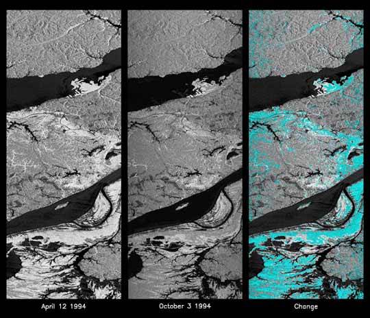 Image of a synthetic aperture radar picture taken of the area around Manaus, Brazil.