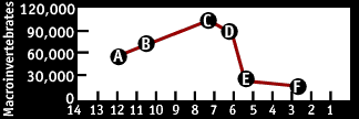 Image of a graph that displays the Macroinvertebrates.  Please have someone assist you with this.