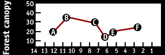 Image of a graph that displays the Forest canopy.  Please have someone assist you with this.