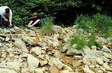 Image of some students using Hach Kits to measure several chemical parameters of stream water quality one at a time.